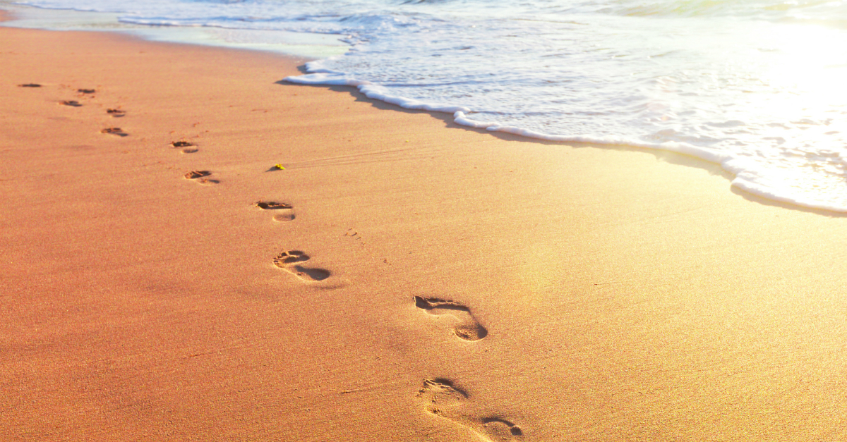 “Business Coaching: A Guide to Sustainable Growth, Development, and Success”